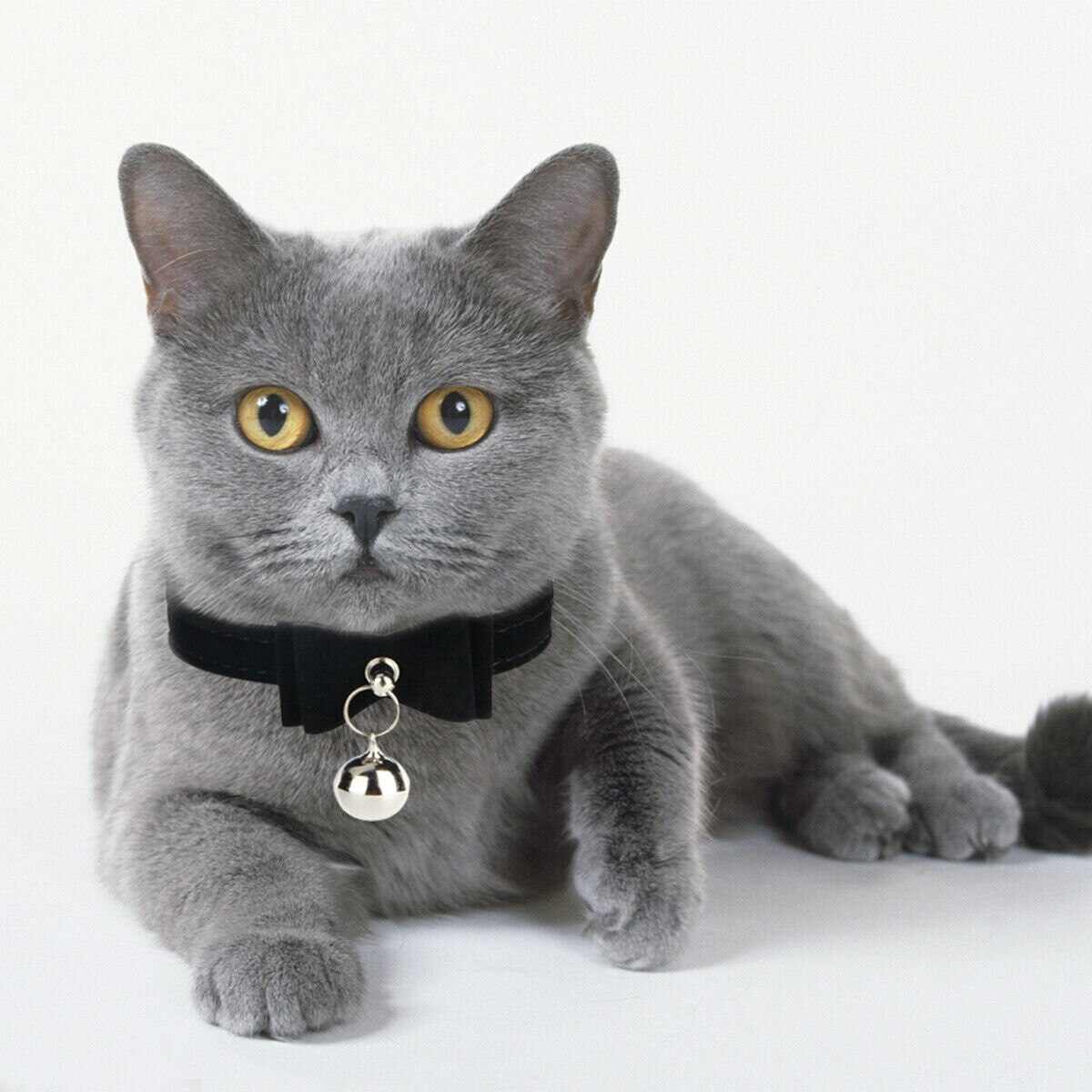 Obroża dla kota aksamitna kokarda krawat bezpieczny regulowany kołnierz z wiązaniem w kokardę z dzwonkiem miękki PU kotek muszka śliczny krawat kot akcesoria