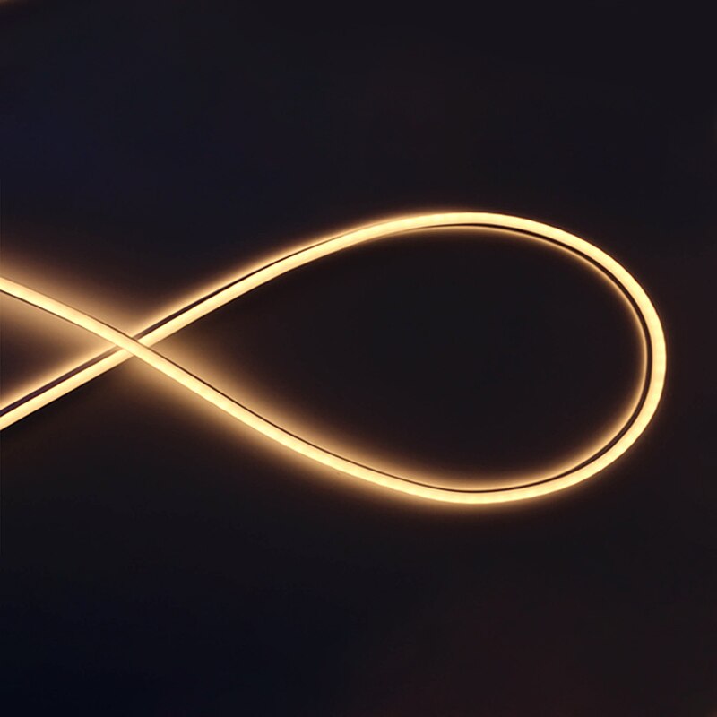 LED Neon Licht Lampe 12V 2835SMD Flexible Neon Lampe Licht 5M Weihnachten Lichter Band Home Outdoor Dekoration