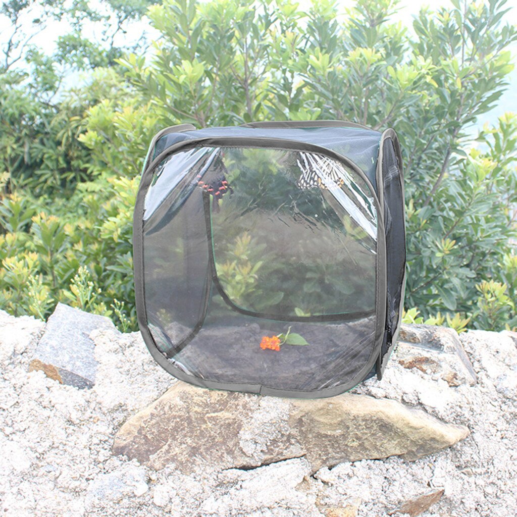 Portable Insect Cage Foldable Butterfly Habitat Cage Housing Enclosure Mesh Cloth Iron Insect Supplies Pet Product
