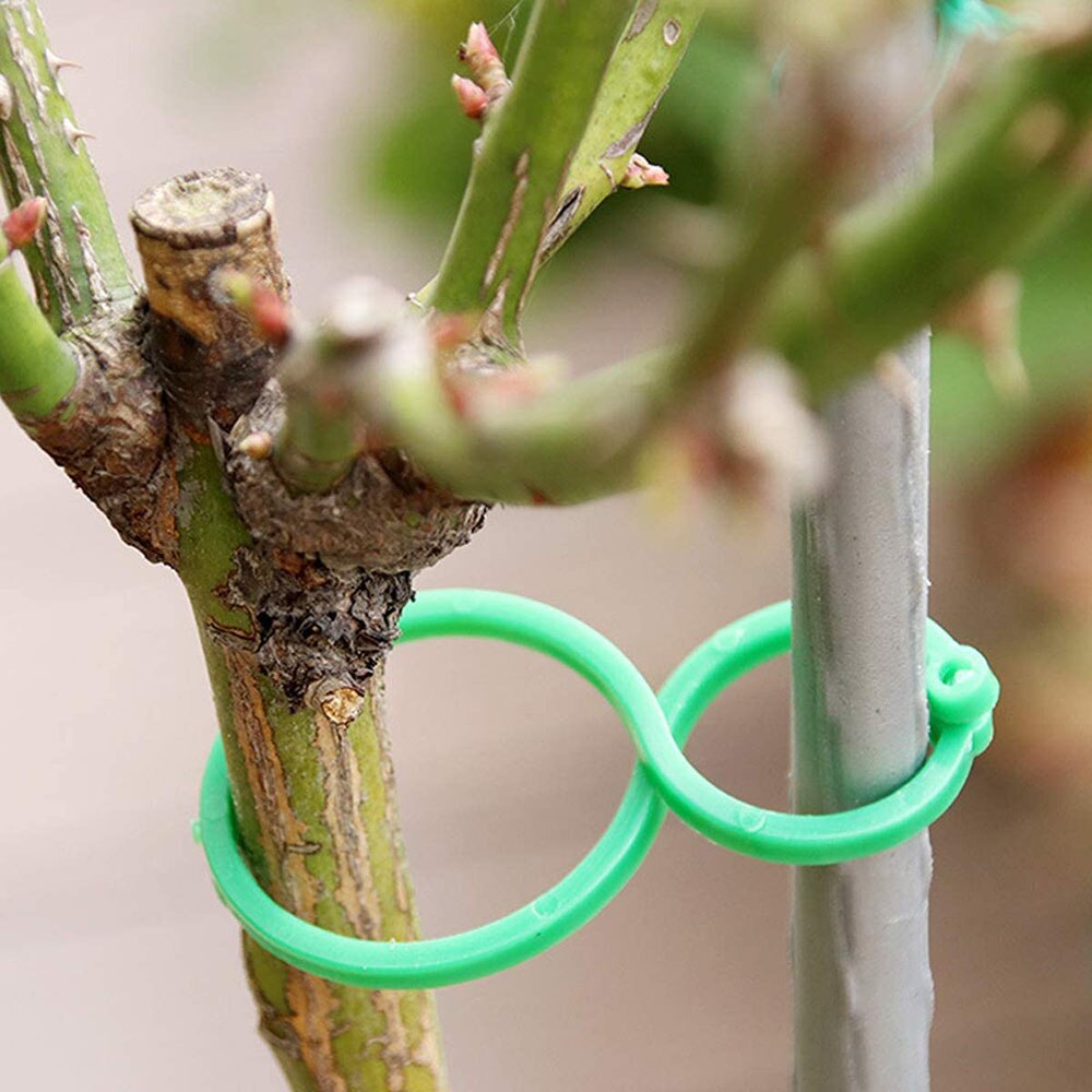 Clip de plástico para Injerto de plantas de jardín, pinzas para celosía, para vid, verduras, tomate, soporte para plantas de jardín, 50/100/200 Uds.