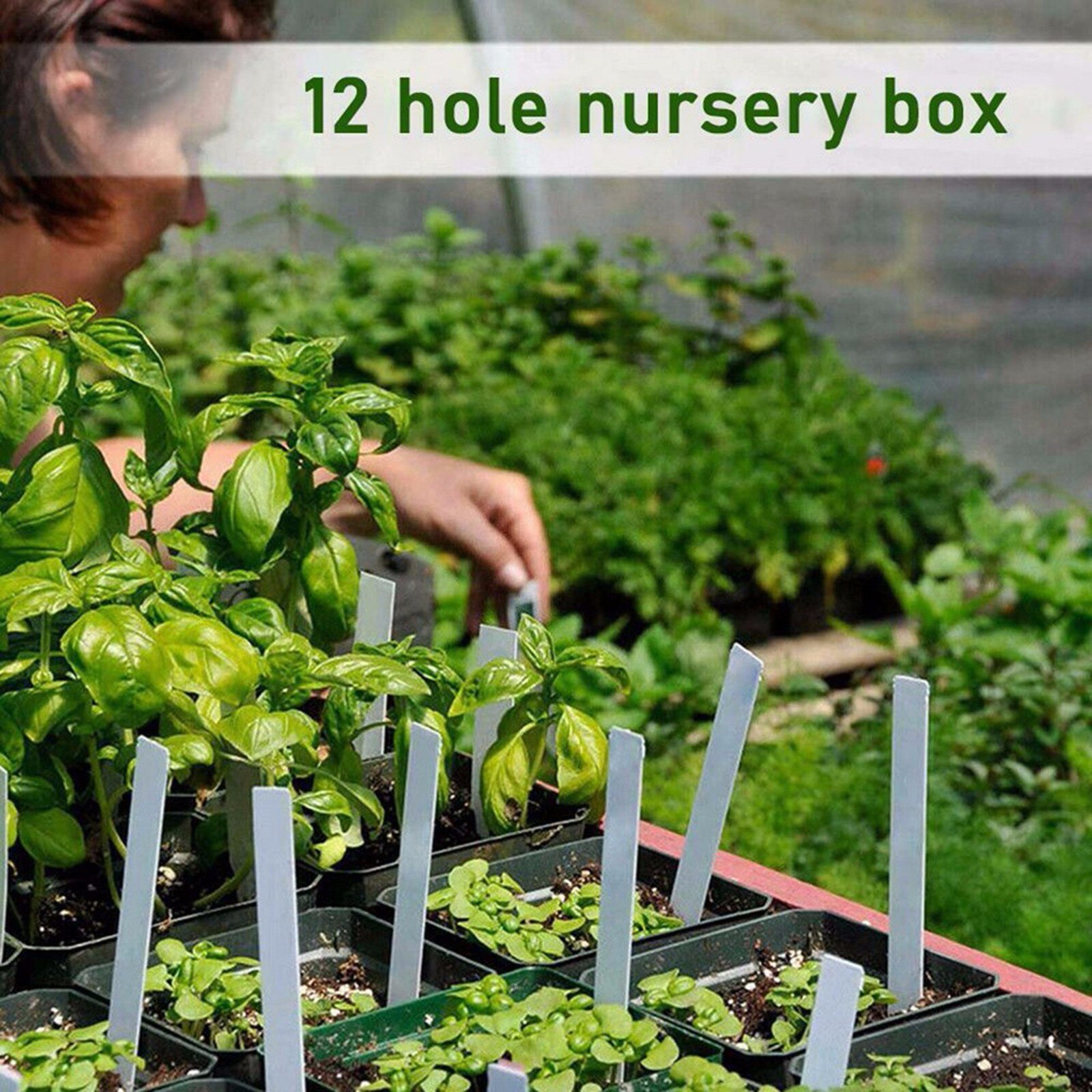 10-Pack Seed Starter Trays Seedling Tray (12 Cells per Tray) Humidity Adjustable