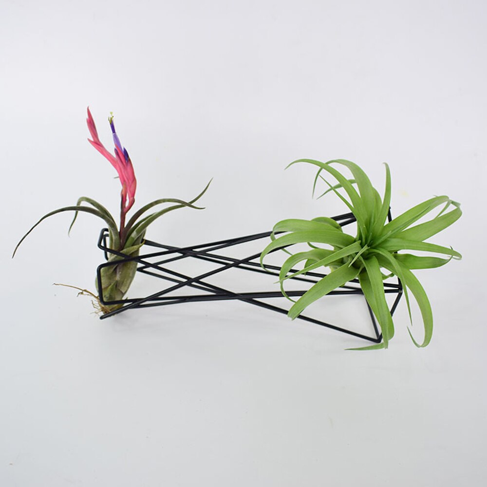 Nordic Stijl Air Plant Houder Metalen Bloempotten Stand Geometrische Ijzer Tillandsia Houder Tafel Thuis Tuinornamenten