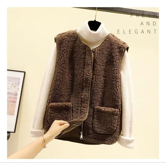 Autumn Winter Women's Vest Lamb Wool Korean Version Versatile Imitation Fur One Short Girls' Vest Zipper Coat Casual Beige
