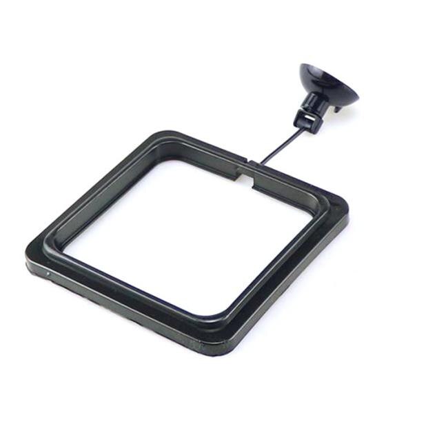 Fish Feeding Square ROUND Aquarium Fish Tank Ring Feeder Station Floating Food Water Plant Buoyancy Circle Accessory Sucker Cup: square / blue