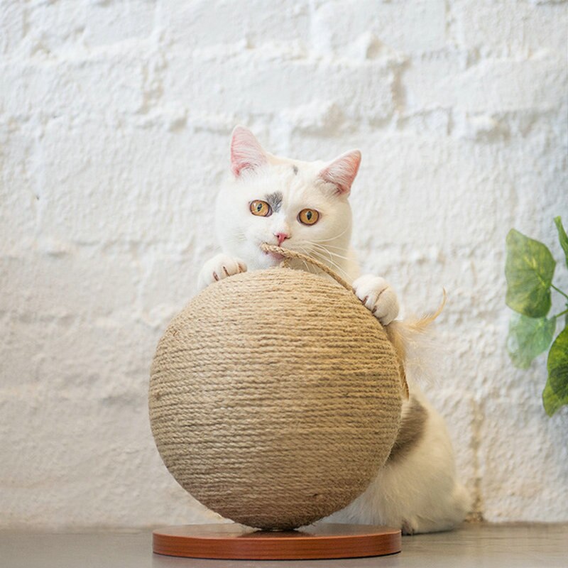 Katt skrape ball kaktus katt skrape ball, kaktus ball katt leke morsomt kjæledyr interaktivt leke skrape ball flott