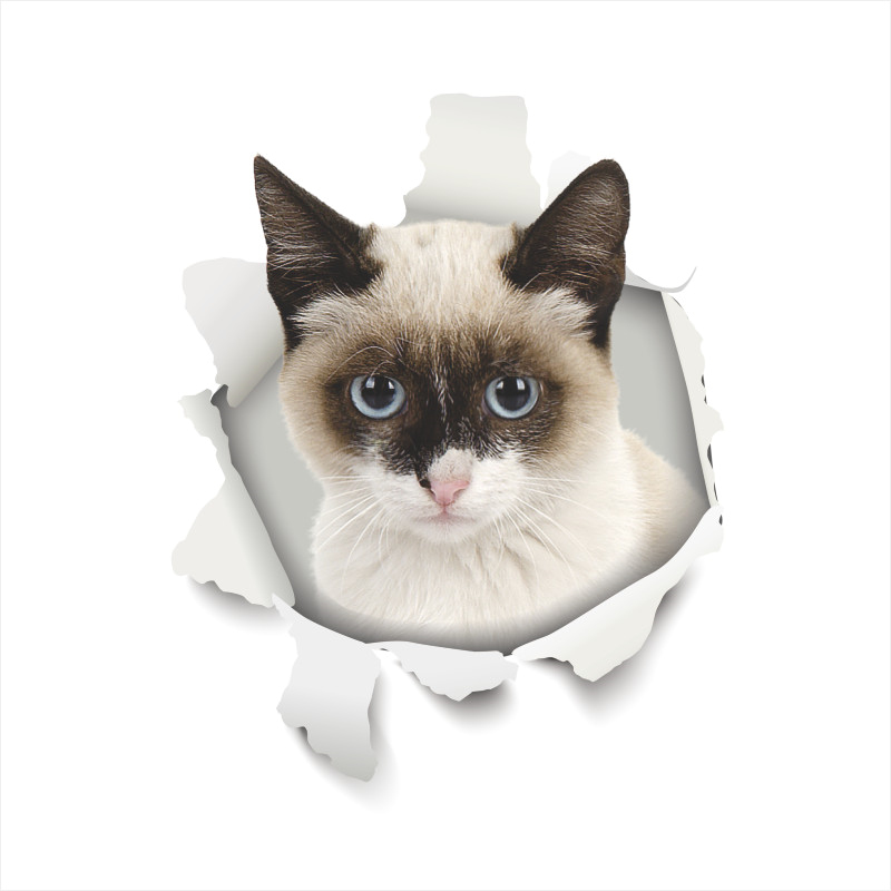 Leuke Hond Kat 3d Gebroken Gat Wc Stickers Voor Wasruimte Huis Decoratie Diy Ainimals Muurschilderingen Cartoon Puppy Kitten Kids decal: GTP026AE