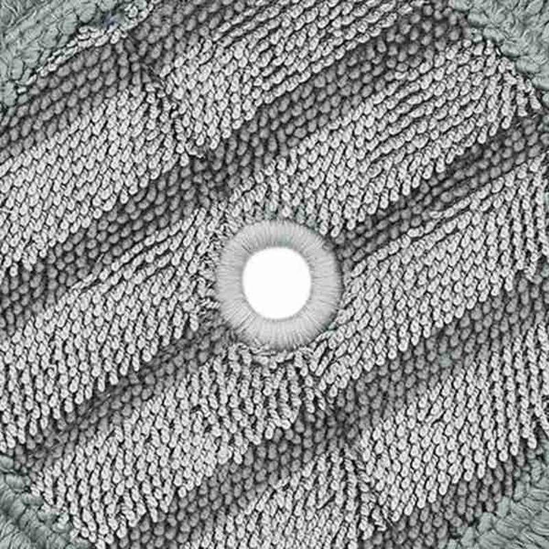 8 Pcs Mop Pad Voor Lg Stoom Mop Microfiber Schoonmaakdoekje Vervanging Voor Lg Stoom Dweilen Accessoires