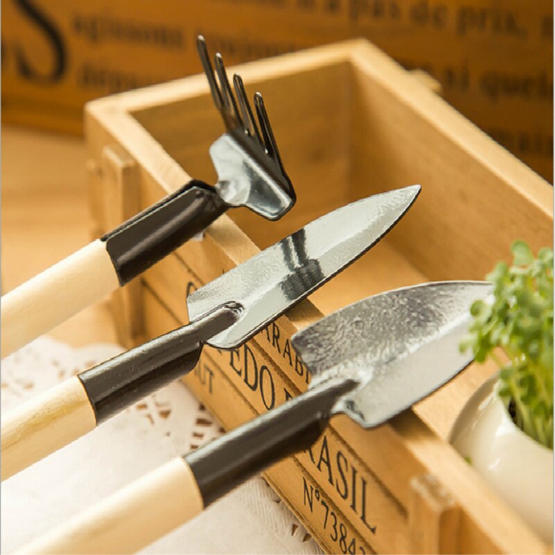 Mini outil de jardinage, pelle, herse, pot de fleurs, plantes en pot, pelles de sol en bois, outil de jardin, diffuseurs de graines