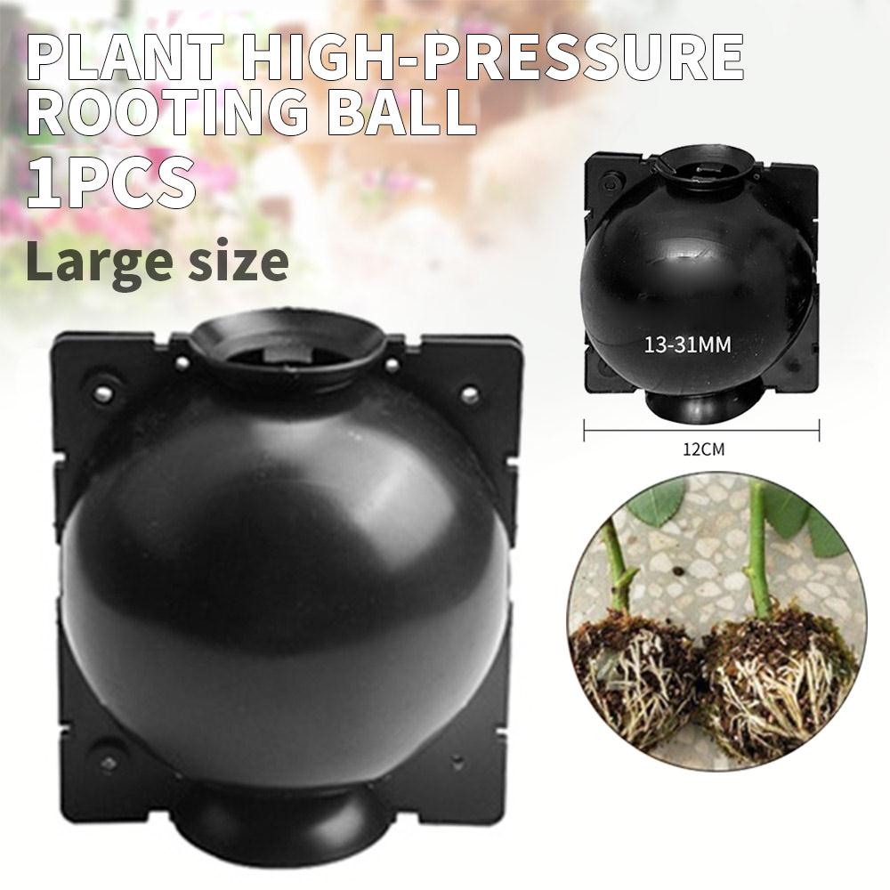 5Pcs Plant Propagation Box Balcony Beautiful Pp Plastic Economic Garden Plant Rooting Ball Flowerpot Planter Home: 1pcs black L