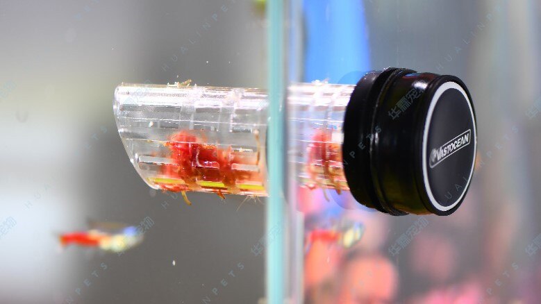 VASTOCEAN Frozen Red Worm Cup Magnetic Feeder Red Nematode Fixed-point Feeder Tube Red Worm Dry Automatic Feeding: Default Title