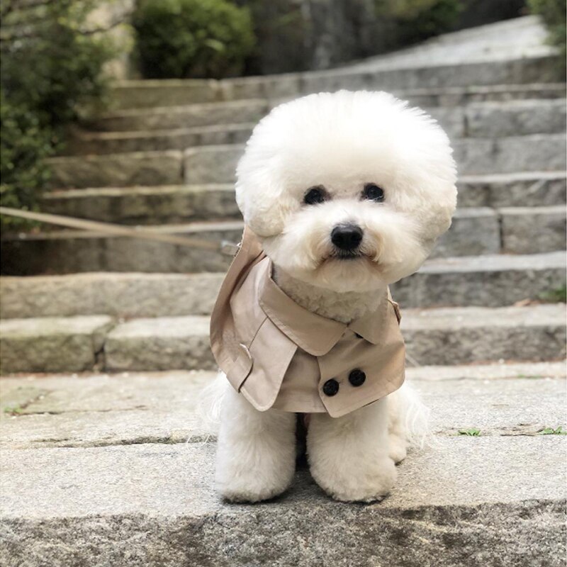 Teddy bichon lov kampstropper håndklæde hundehalsbånd hund vindjakke kappe
