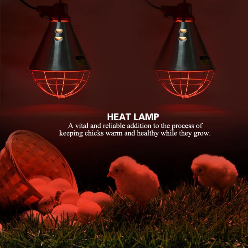Pantalla de calor rojo infrarroja de 220V con luz de ajuste de alta temperatura para aves de corral, pollitos, reptiles, lámpara para calentador, enchufe de la UE