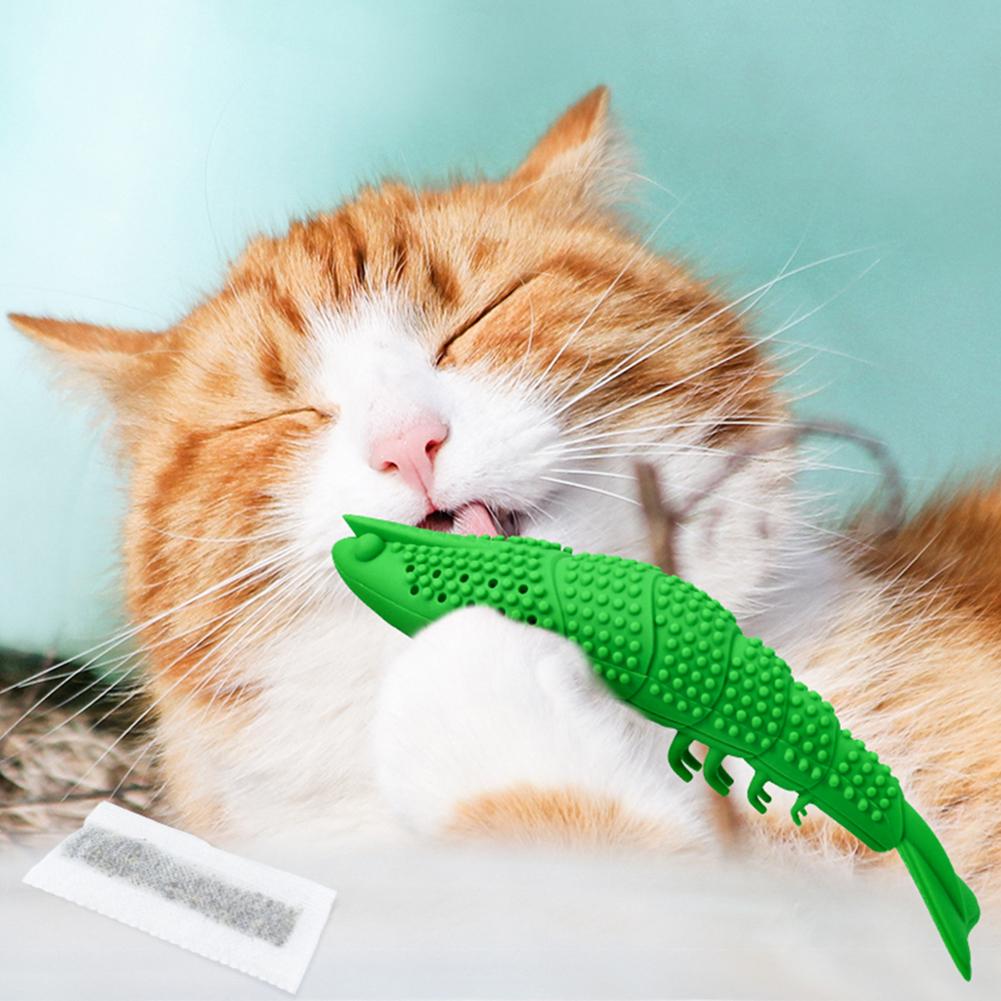 Kæledyr legetøj kat tandbørste katnip rejer bid ren tandpind sjov kæledyr legetøj kat tandbørste tænder legetøj kæledyr forsyninger