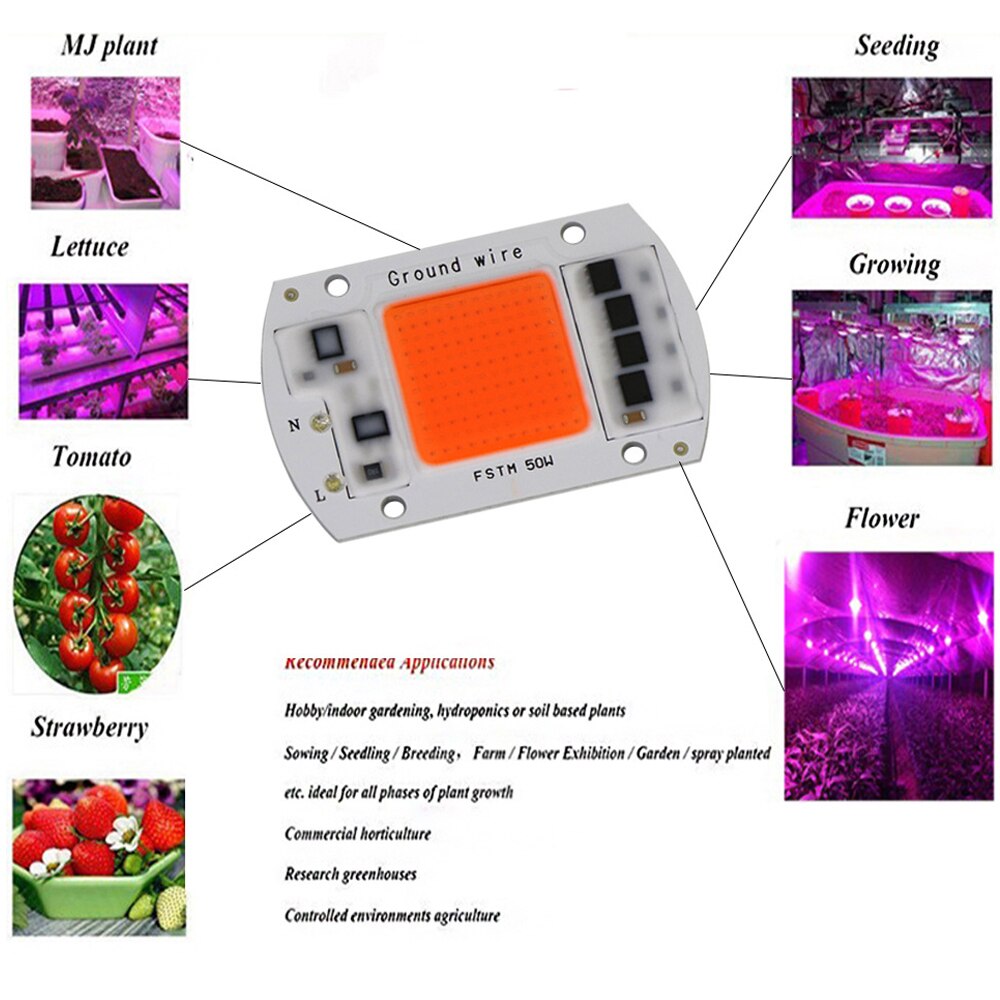 LED COB Chip Led Grow planta luz espectro completo flor lámpara 220V 240V 20W 30W 50W LED Grow lámpara para plantas de interior plántulas crecer