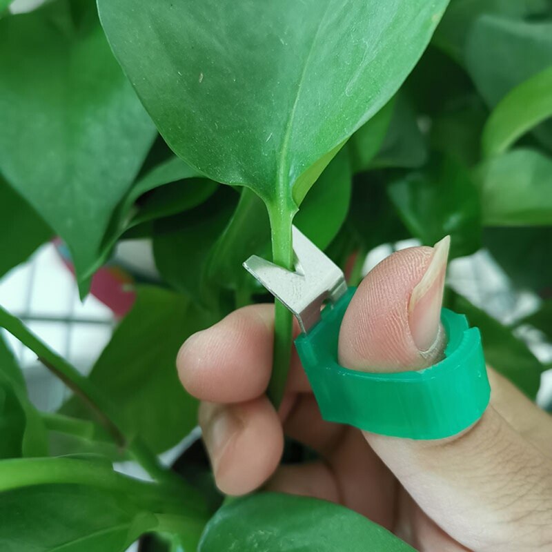 Crop Tomato Cucumber Grape Harvesting Gardening Tools Blade Cutting Scissors Fruit Picking Ring /Vegetable Picking Ring0