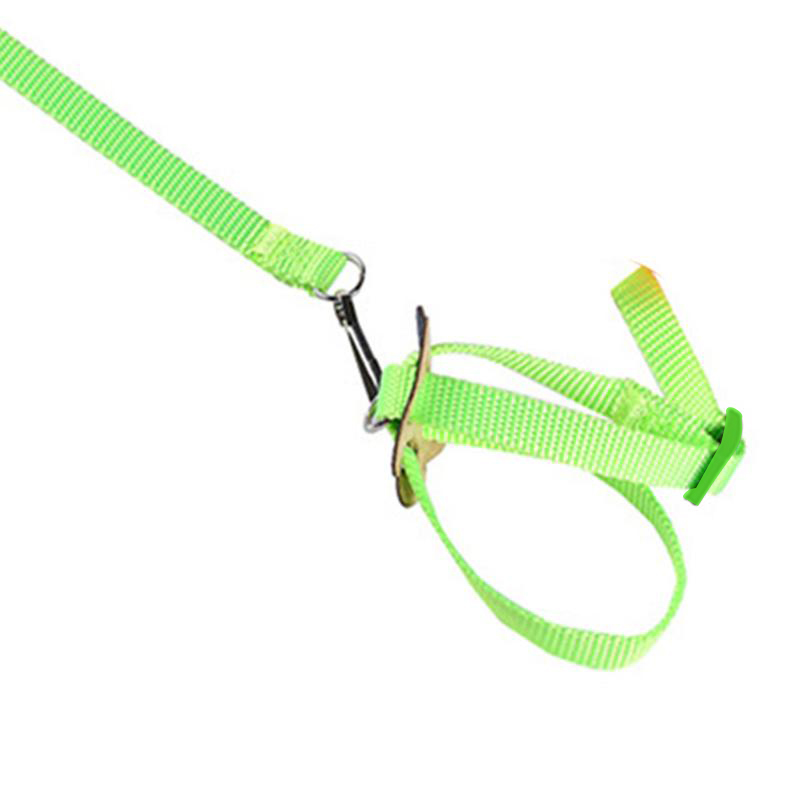 Pet Parrot Traction Strap Pet Anti-bite Training Rope Outdoor Rope Pet Leash Adjustable Bird Harness For Hamster, Lizard