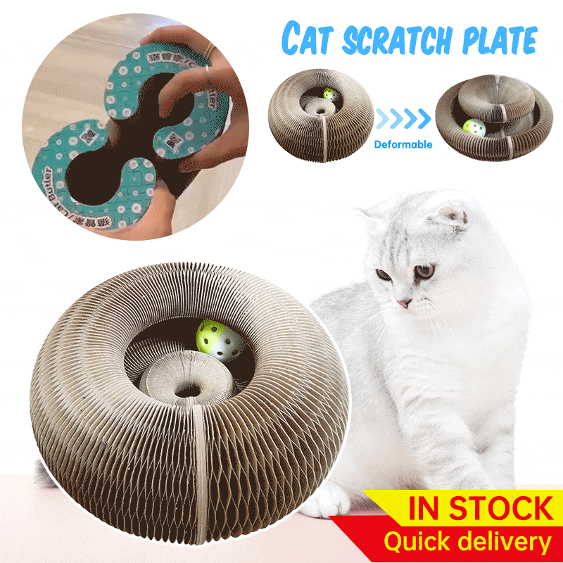 Magiczne organy drapak dla kota kot zabawka z dzwonkiem kot robić ścierania pazurów koci plac zabaw kot zadraśnięcie zabawka kot Scratcher salon łóżko