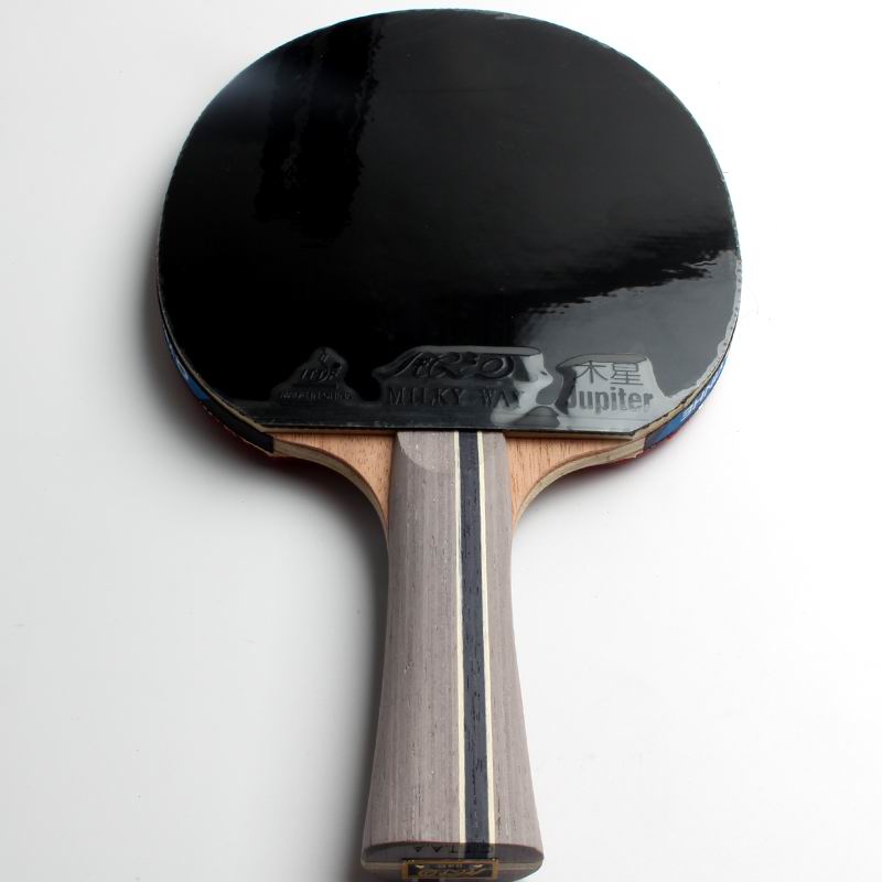 Yinhe-Children's Ping Pong Racket, Table Tennis finished Racket, Pimples in Training, 4 Stars, Player, 04B