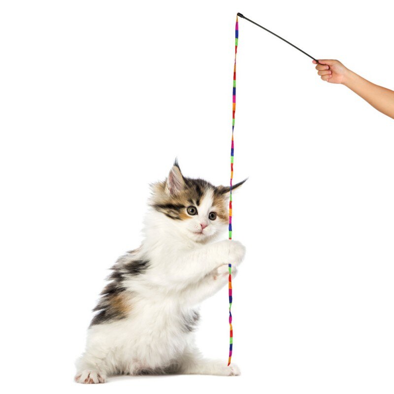 Regnbue streamer kæledyr kat fjer legetøj lege sjov katte tryllestav catcher teaser sticks kat interaktivt træningslegetøj