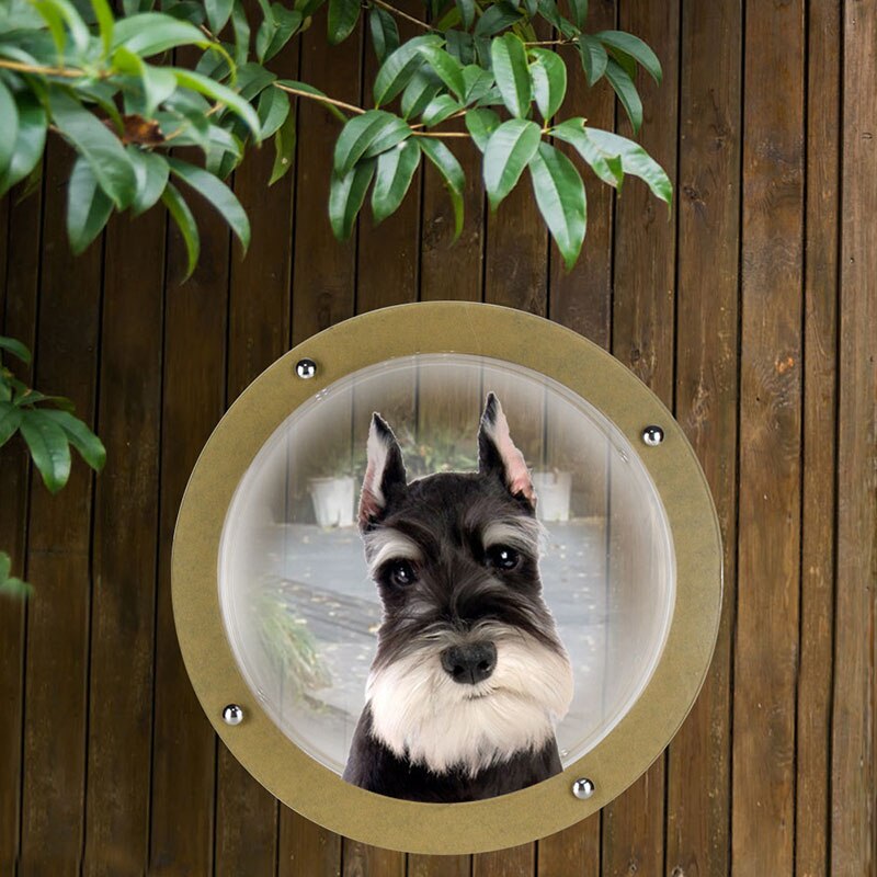 Mascota perro gato puerta rampas espacio ventana para la puerta de seguridad de la pared puerta de la aleta mascota túnel mirilla perro valla ventana para el hogar tratar mascota Autismo