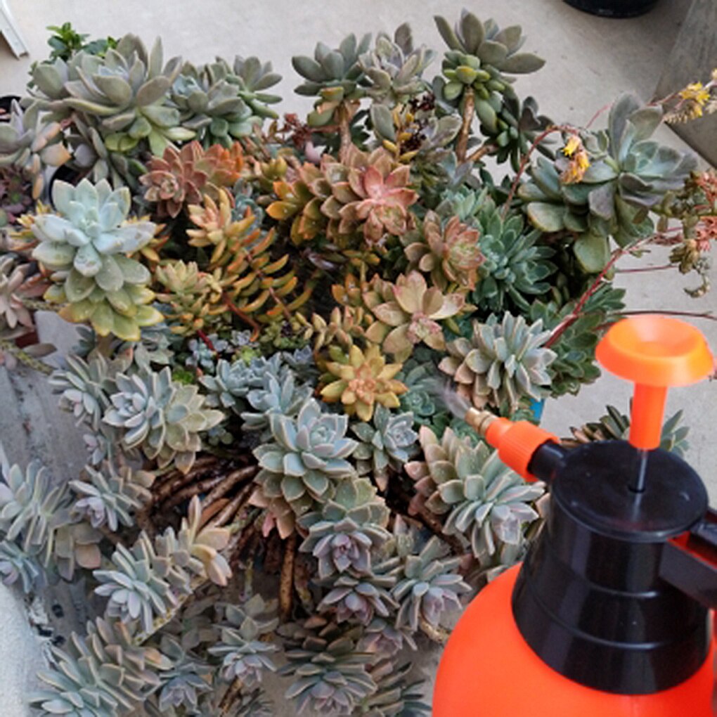 2L/3L Hand Pressure Trigger Sprayer Bottle Adjustable Nozzle Head Gardening Fertilizers Manual Air Compression Pump Spray Bottle