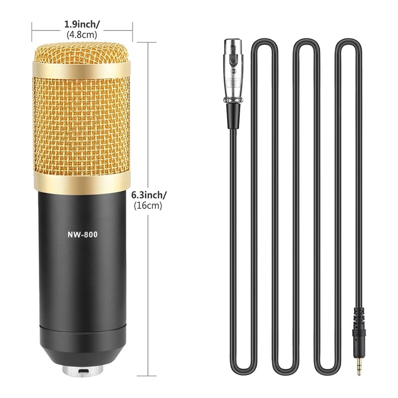 Studio Broadcasting & Recording Microphone Set Including Condenser Microphone