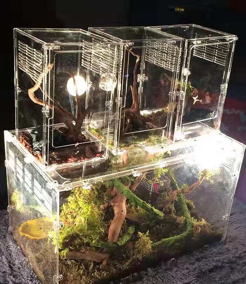Kocris Casa Romeinse Wolf Fish Tank Decoraties Oude Rome Reptiel Schildpad Hagedis Spider Tanks Terrarium Building Decor Ornament Huisdier