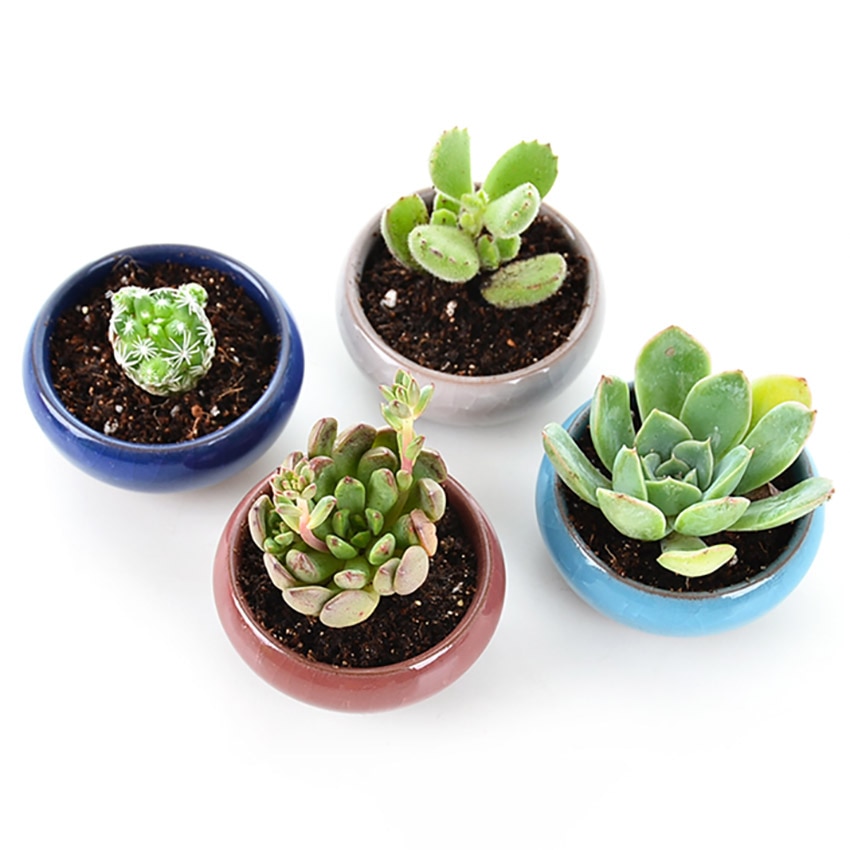 Retro mini keramisk saftige planter pot kaktus bonsai pot blomsterpotte container planter have dekoration blomsterplantning pot