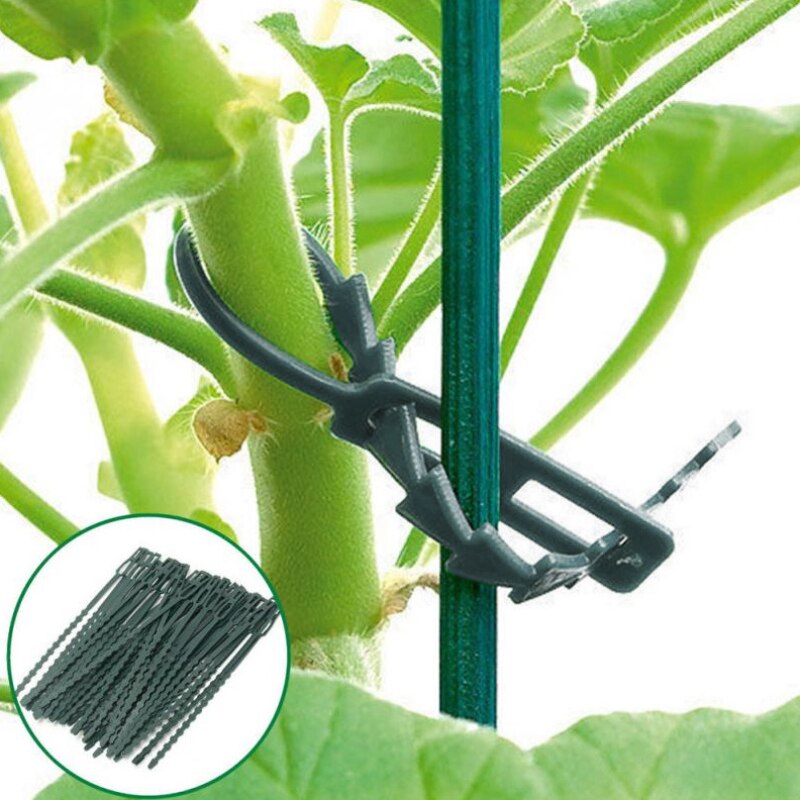 Justerbar 100/50 stk / lot 17cm plastikplante kabelbånd genanvendelige kabelbindere drivhus vokse kits til haven træ klatring støtte