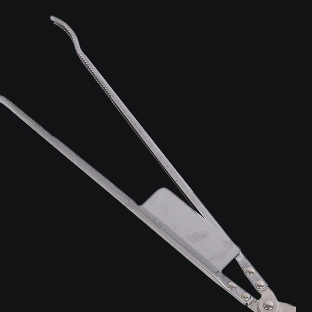 Stainless Steel Crab Clamp Sturdy Eel Clamp Loach Clip Kitchen Accessory