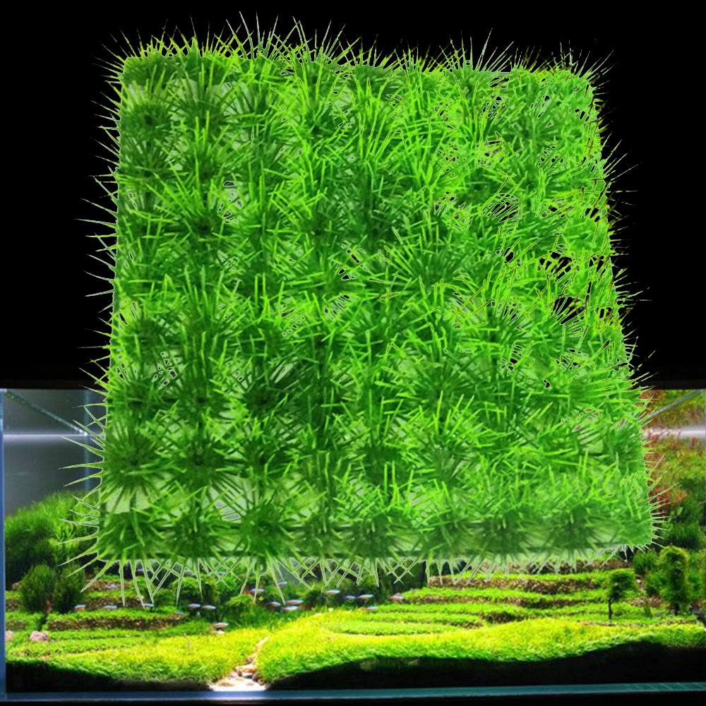 Aquarium Plant Fijne Dennennaald Gazon Groeiende Aquarium Water Plant Gras Zaad Aquarium Gazon Decor