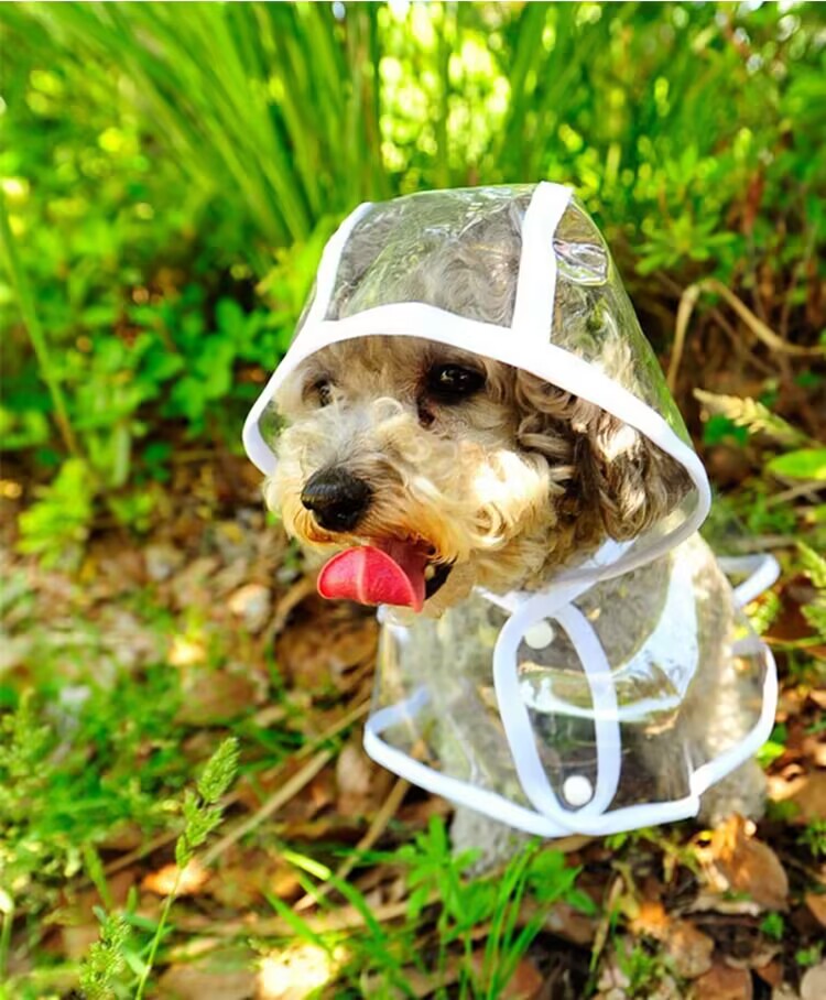 Capa de chuva para cães de estimação, roupas transparentes para cachorros, à prova d'água, macacão para cães pequenos e grandes, XS-7XL
