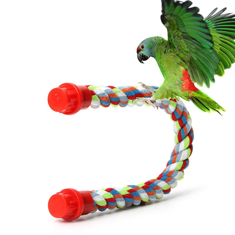 Animal de compagnie oiseau perroquet corde calopsitte perruche Conure Cage debout perche mâcher Peck jouet