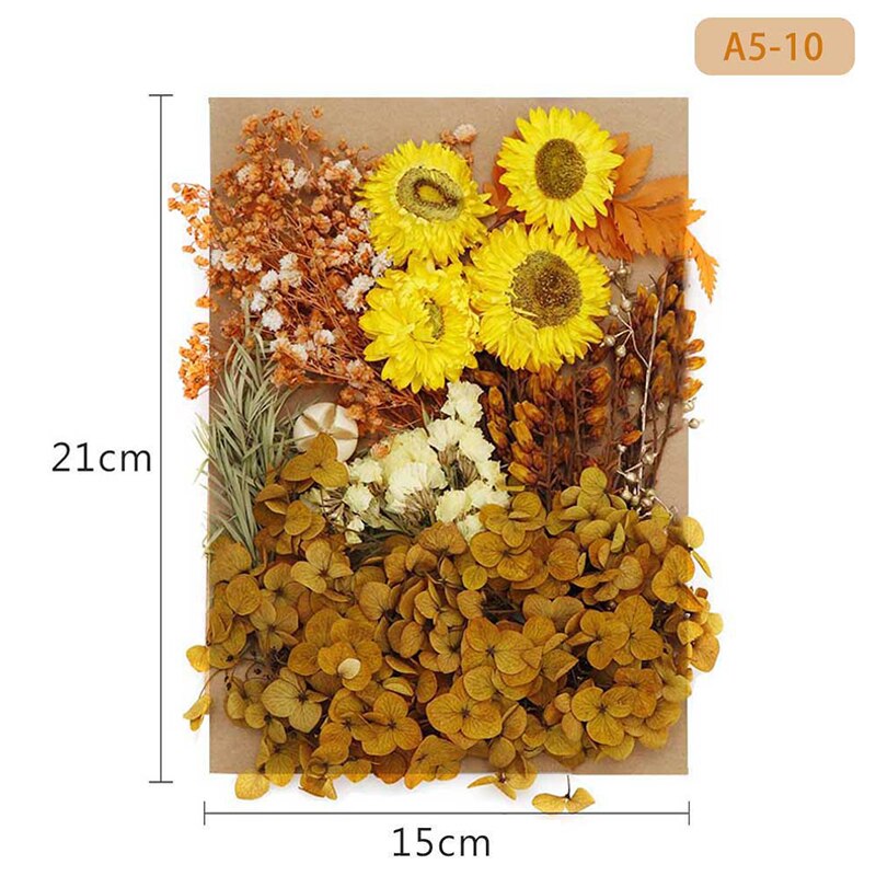 Fleur pressée mélangé fleurs séchées matériel pour bricolage aromathérapie bougies carte de voeux époxy artisanat boucles d'oreilles FAS6: Violet clair