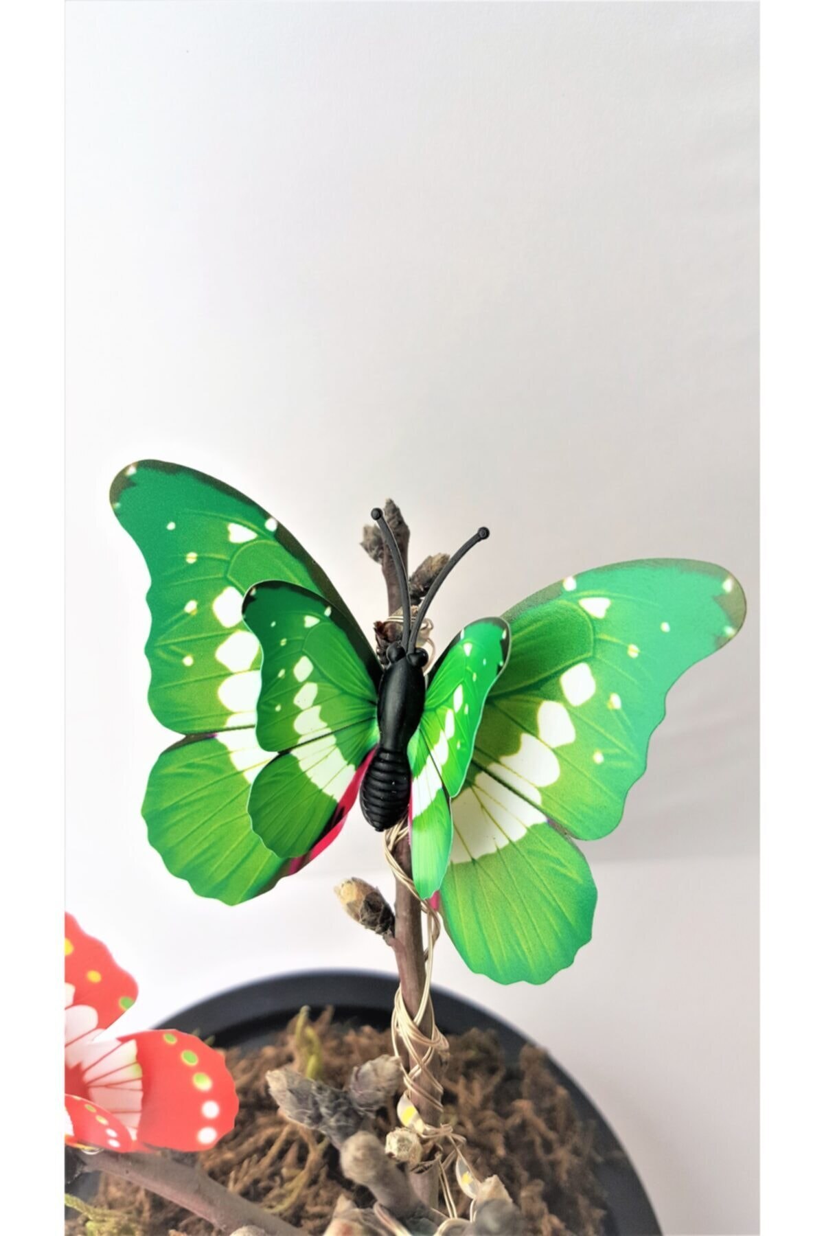 Vase lumineux avec papillon, spécial, décoratif