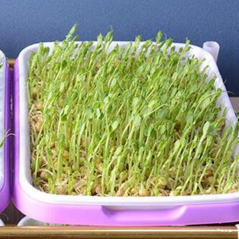 4 stuks dubbellaagse zaadontkiemingsbak hydrocultuurmand bloemen- en plantenontkiemingsbakdoos