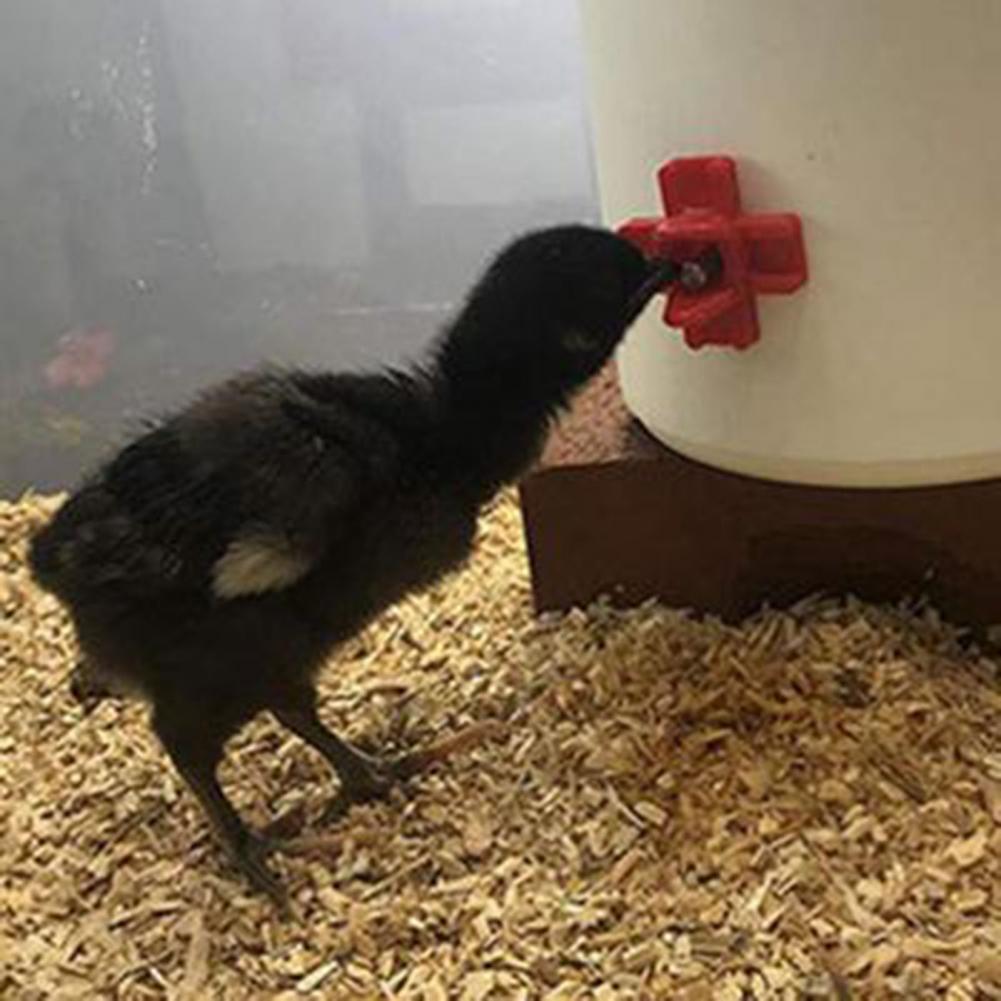 10 sztuk kurczak Waterer kury przepiórki ptaki miski robić picia woda kurczak pisklę poidło smoczkowe drób gospodarstwo rolne dziedziniec kieszonkowe dzieci