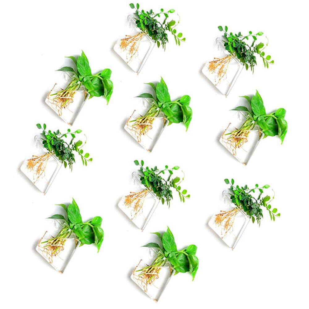 Neue Transparente Glas Wand Vase Wand Hängen Pflanzen Terrarium Glas Pflanzer Blume Halter Vase Kreative Garten Hof Wohnkultur