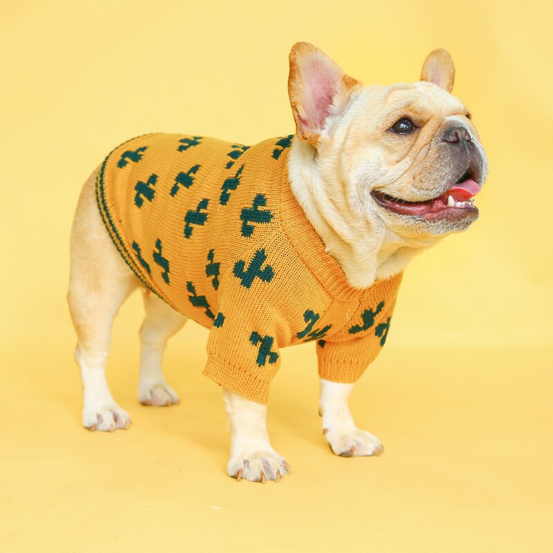 Petcircle hund hvalpetøj gurkemeje kaktus sweater kattekat passer lille hund forår og efterår kæledyr hund kostume klud hundetrøje