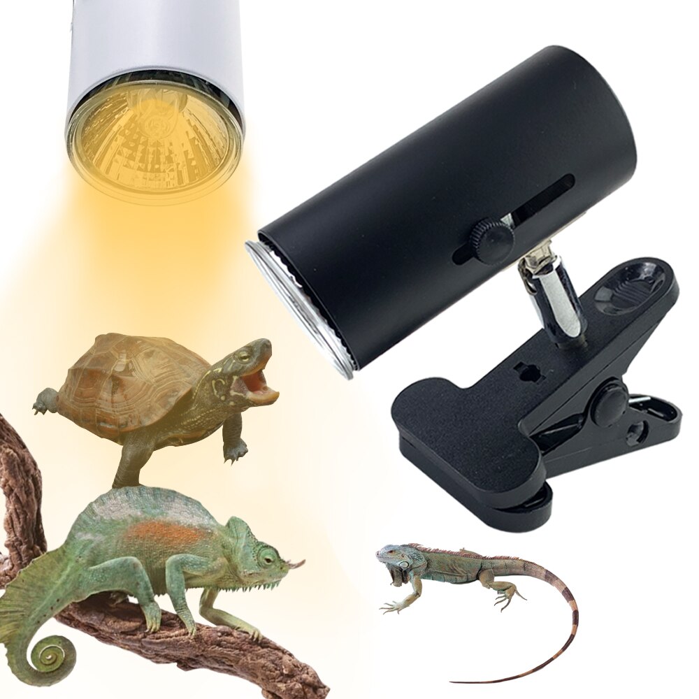 UVA UVB Amphibians Reptile Lamp Holder Basking Heat Light Reptile Lamp Ceramica Temperature Tortuga Tortoise Lizard Lighting