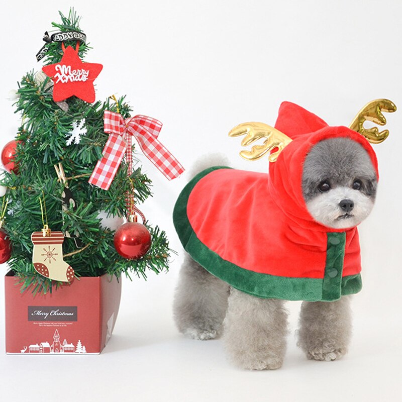Costume de noël pour chien, Trench, cape d&#39;hiver pour chien, Bichon maltais, chih Tzu Yorkshire, chiodle, Schnauzer, carlin, vêtements de noël