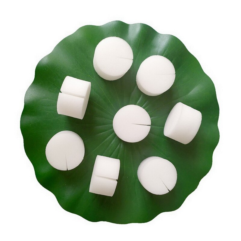 Nursery Seed Sponge Plants Germination Sponges Soilless Cultivation Tools 50Pcs