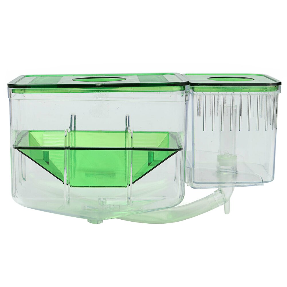 Isolation Box Baby Fish Breeding Accessories Safe ... – Grandado