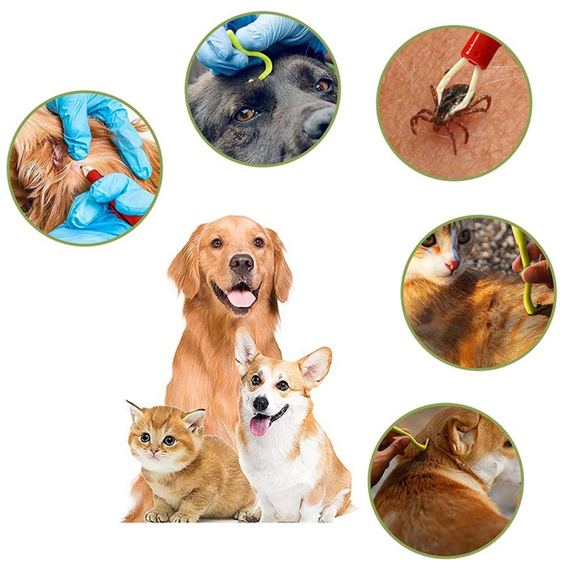 Tick Pincet Voor Honden, Katten, Kinderen, Set Van 3, Tick Haken En Set Van 2, tick Pincet, En Veilig Tick Remover