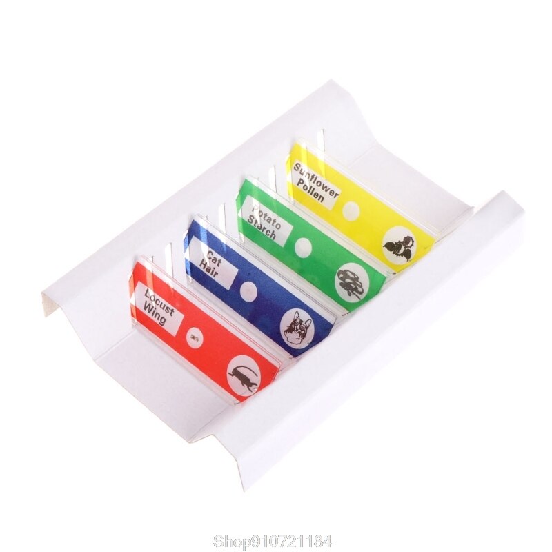 12 Pcs Prepared Microscope Slides Set Specimen For Student Basic Biology Education
