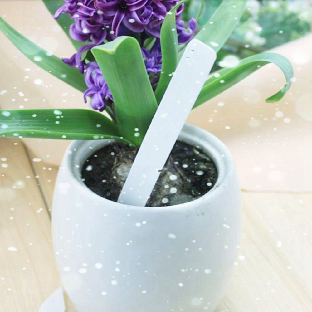 100 st trädgård grönsak markör plast växt utsäde etiketter pot markör plantskola trädgård stav taggar 5cm x1cm