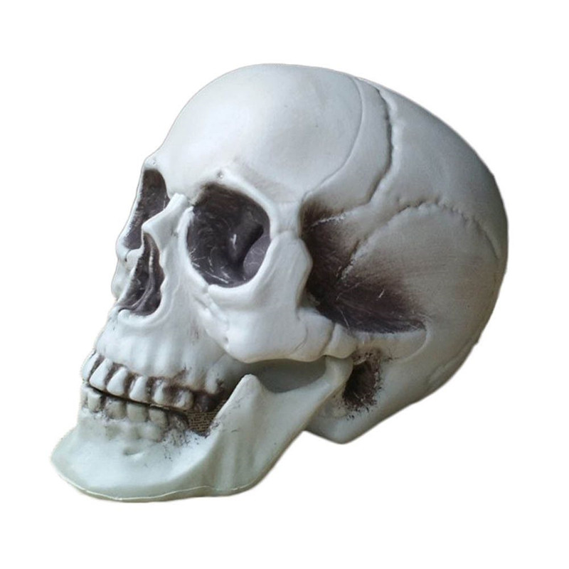 Alle Size Menselijke Schedel Hoofd Skelet Halloween Stijl Prop Thuis Party Decor Film Halloween Rekwisieten Bar Koffie Spookhuis Decors