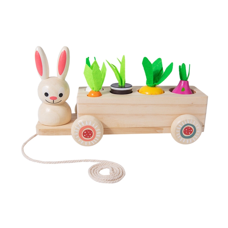 Karotte Ernte Spiel - 24-teiliges Lernspielzeug Für Kinder Mit Memory-Funktion