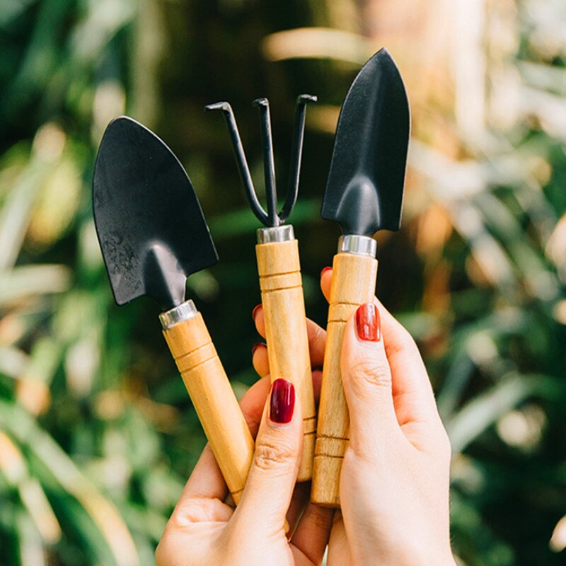 3 Set Transplanter Garden Shovel Stainless Tools Small Hiking Cultivating Orchard Plants Bonsai Flower Mini Wooden Spade