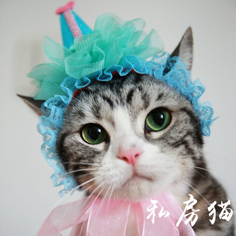 [mpk kattehovedbeklædning] smuk kattehat, tilbehør til kæledyrshår, kattehovedbeklædning, kæledyrs fødselsdagshat, kattefødselsdagskron
